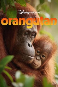 دانلود فیلم اورانگوتان Orangutan 2026