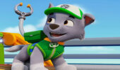 دانلود انیمیشن دردسر گربه ای راکی Rocky’s Cat-astrophe 2026