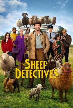 فیلم