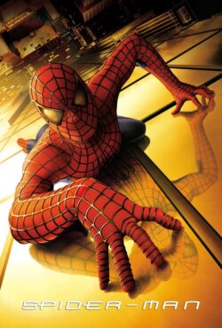 مرد عنکبوتی 1
