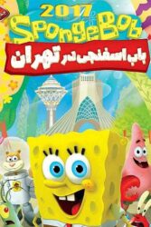 باب اسفنجی در تهران 1397