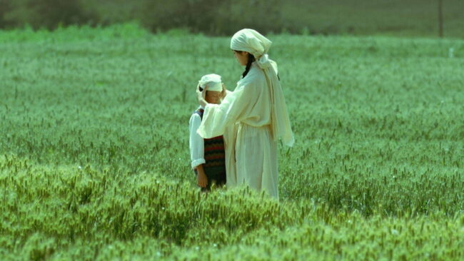 دانلود فیلم زیستن با زمین Living the Land 2025