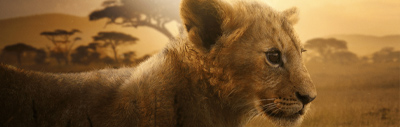 سریال Lion