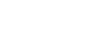 Detective Chen 2022 logo