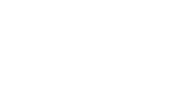نیم رخ